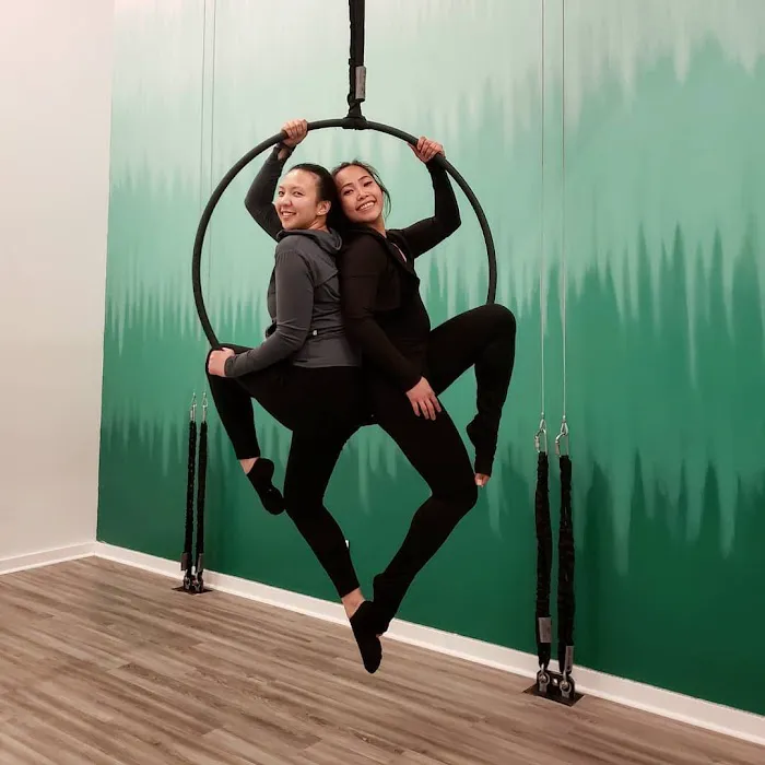 Ascendance Pole and Aerial Arts Picture 6