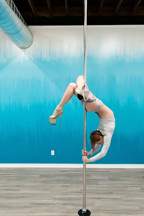 Ascendance Pole and Aerial Arts Picture 7