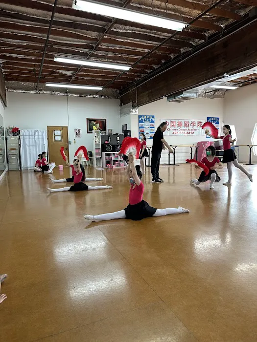 Chinese Dance Academy Picture 2