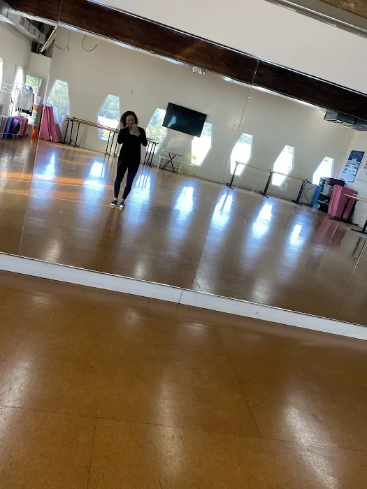 Chinese Dance Academy Picture 4