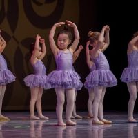 International Ballet Academy ico