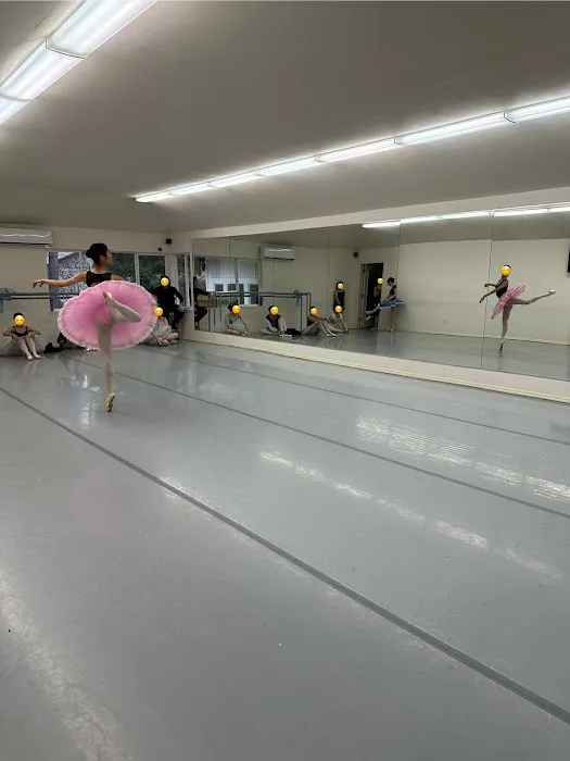 Hengda Dance Academy Picture 1