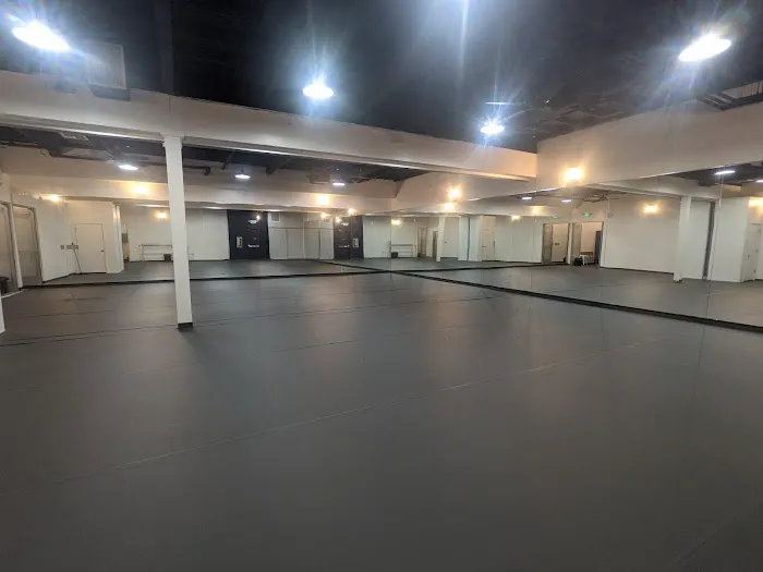 Aspire Kinetic Arts Picture 2
