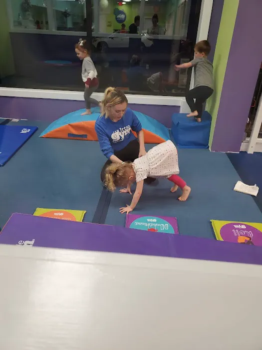 The Little Gym of Seattle at Maple Leaf Picture 9