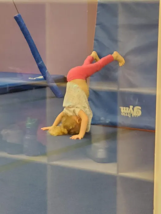 The Little Gym of Seattle at Maple Leaf Picture 8