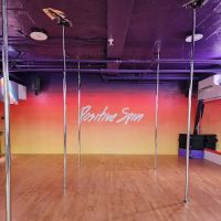 Positive Spin Pole Dance Fitness ico