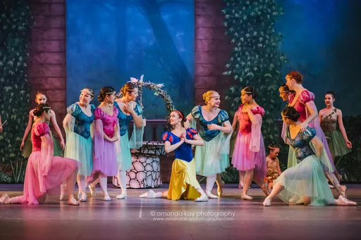British Dancing Academy Picture 3