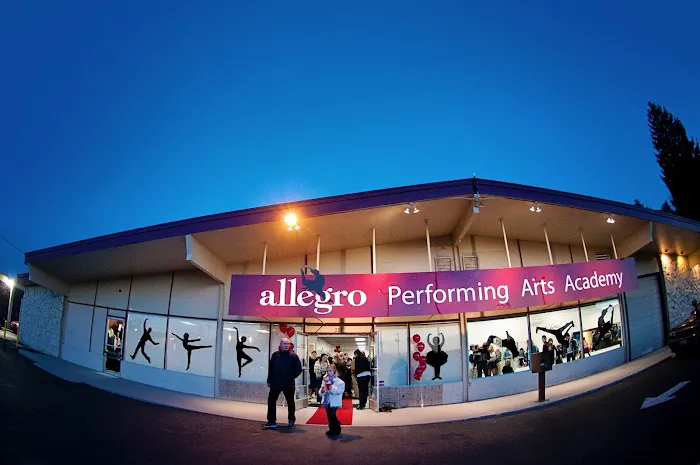 Allegro Performing Arts Academy Picture 5