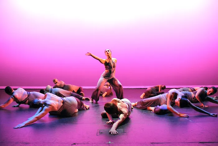 Blue Dog Dance Picture 4