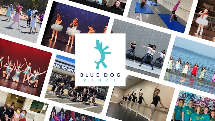 Blue Dog Dance Picture 10