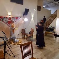 Flamenco Haven ico