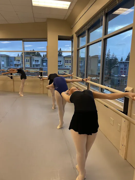 Emerald Ballet Academy Picture 3