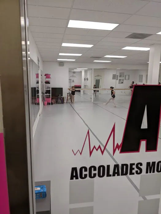 Accolades Movement Project Picture 1