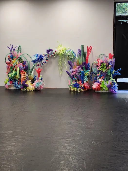 The Dance Room Studio Picture 2