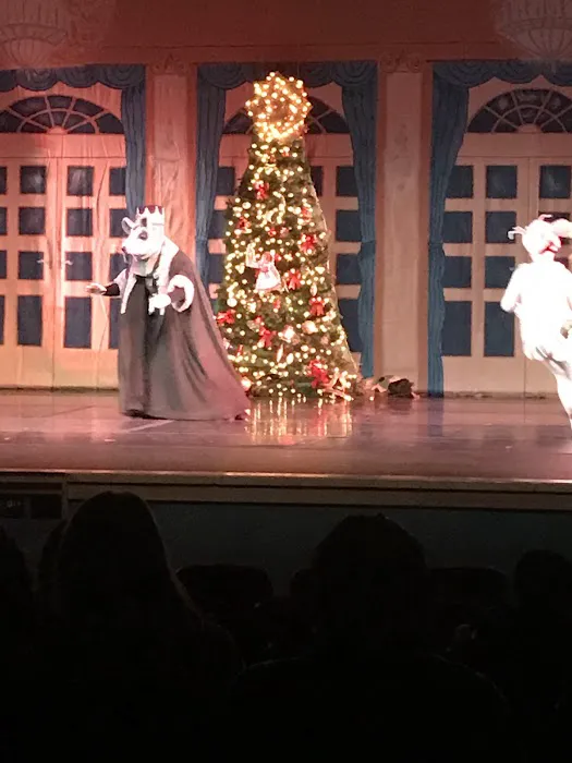 Children's Dance Theater-Auburn location Picture 8