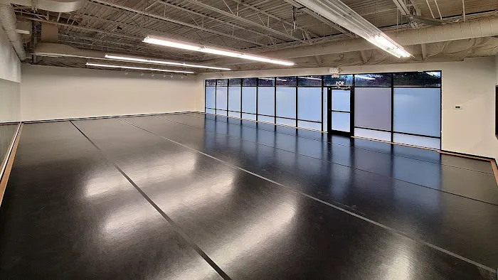 Ensemble Ballet Theatre Picture 1