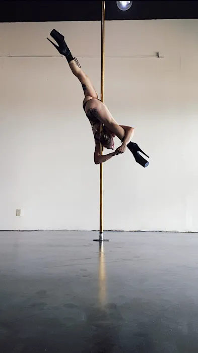 Lilith Pole and Aerial Dance Picture 7