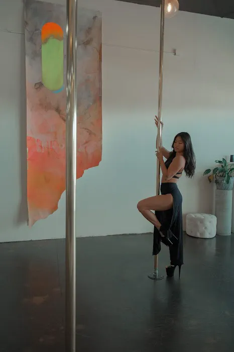 Lilith Pole and Aerial Dance Picture 8