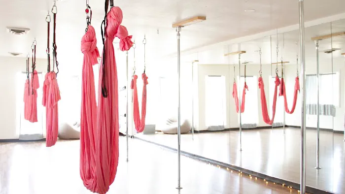 Pole Fitness Seattle - Bellevue Picture 2