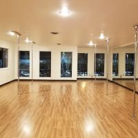Pole Fitness Seattle - Bellevue ico