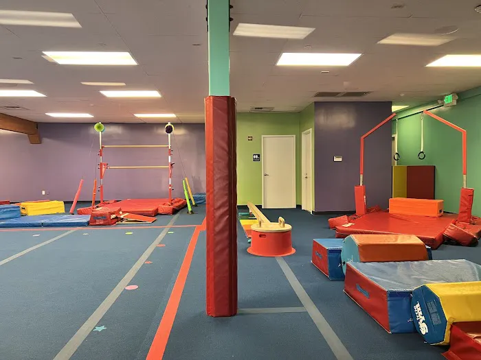 The Little Gym of Issaquah Picture 1