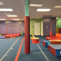 The Little Gym of Issaquah ico