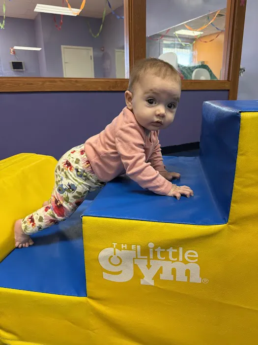 The Little Gym of Issaquah Picture 2