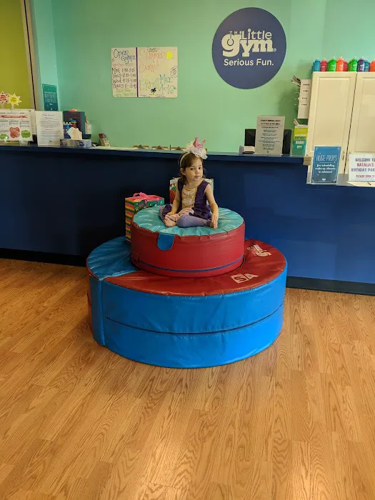 The Little Gym of Federal Way Picture 3