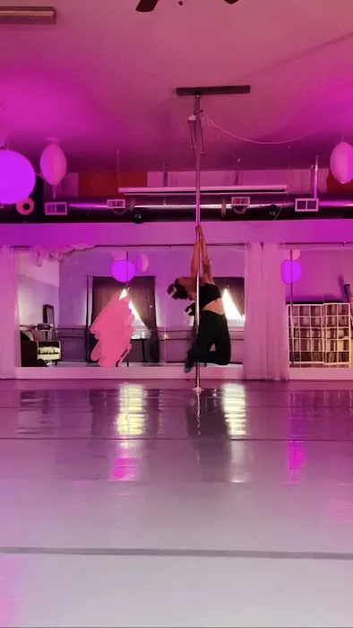 Carousel Pole and Dance Picture 4