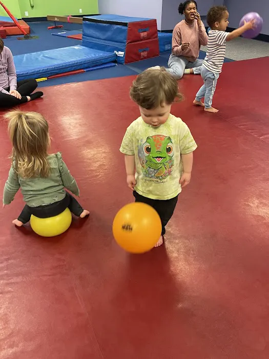 The Little Gym of Maple Valley Picture 6