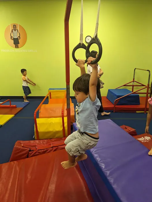 The Little Gym of Maple Valley Picture 7