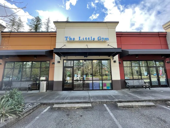 The Little Gym of Maple Valley Picture 10