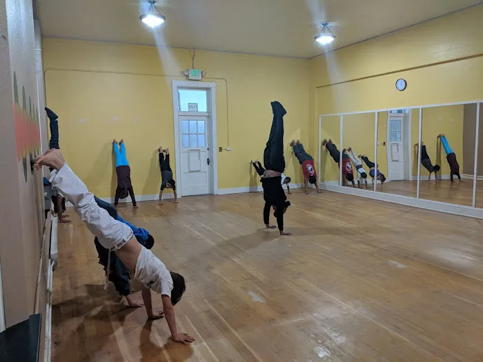 Tacoma Capoeira Center (Capoeira Vida) Picture 8
