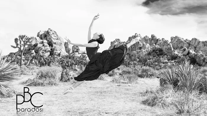 Paradosi Ballet Company Picture 3