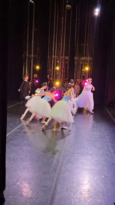 Karin Kirkland School of Dance Picture 2