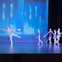 Karin Kirkland School of Dance ico