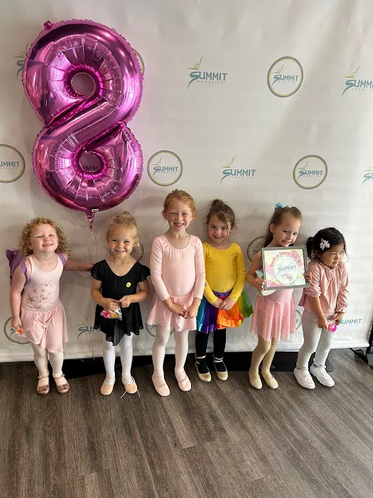 Summit Dance Co Picture 3