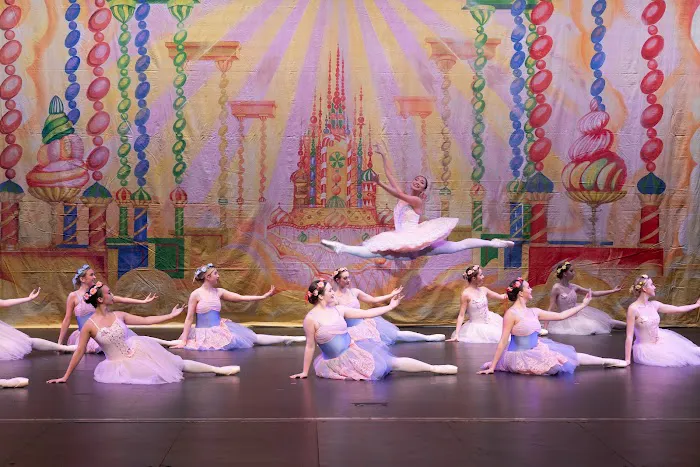 Flight Feathers Ballet, LLC. Picture 5
