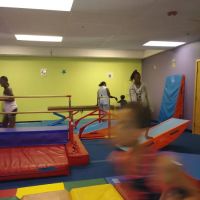 The Little Gym of Alderwood ico