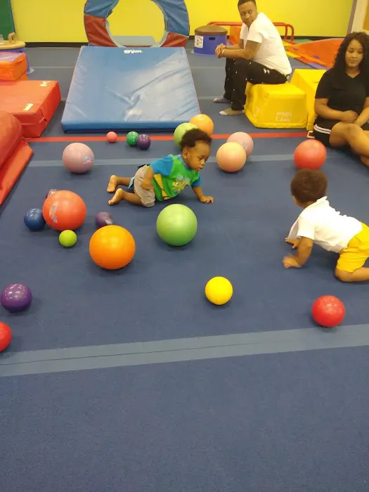 The Little Gym of Alderwood Picture 4