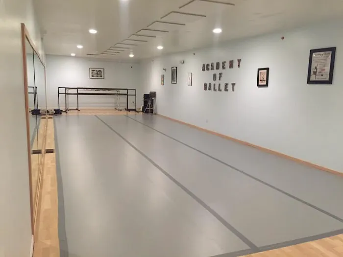 Academy of Ballet Picture 2