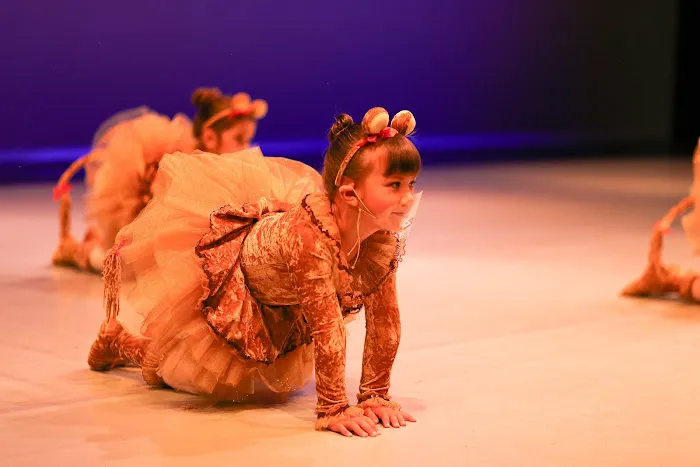 Academy of Ballet Picture 4