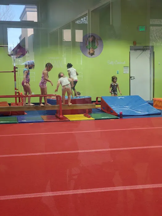 The Little Gym of Puyallup Picture 6