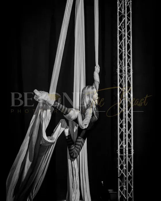 Akasha Aerial Arts Picture 4
