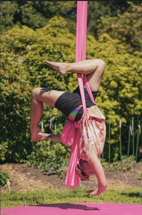 Akasha Aerial Arts Picture 9
