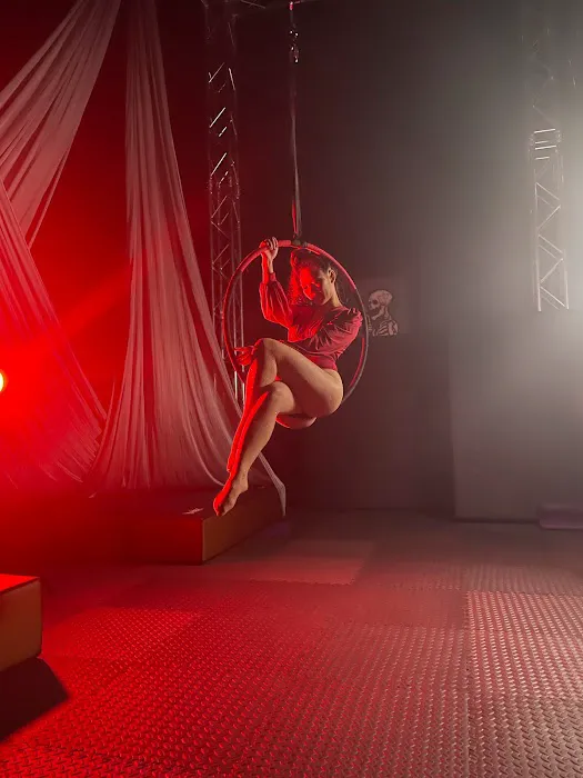 Akasha Aerial Arts Picture 8
