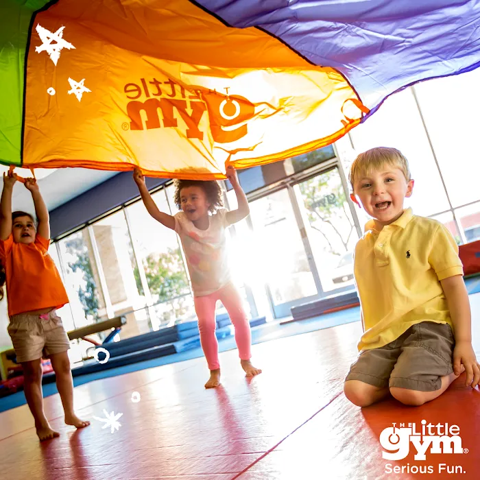 The Little Gym of Olympia Picture 8