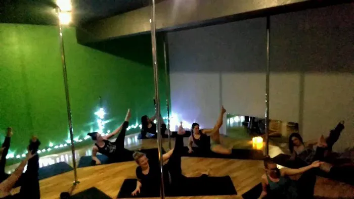 Revolution Pole Fitness Picture 9