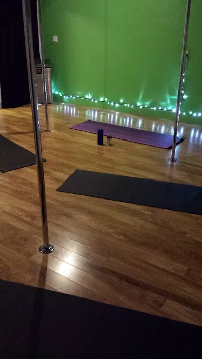 Revolution Pole Fitness Picture 7