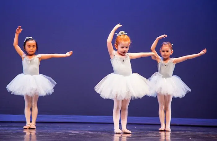 Opus Performing Arts Picture 3